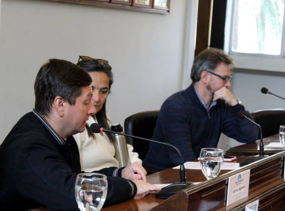 XVII Sesión Ordinaria Concejo Deliberante