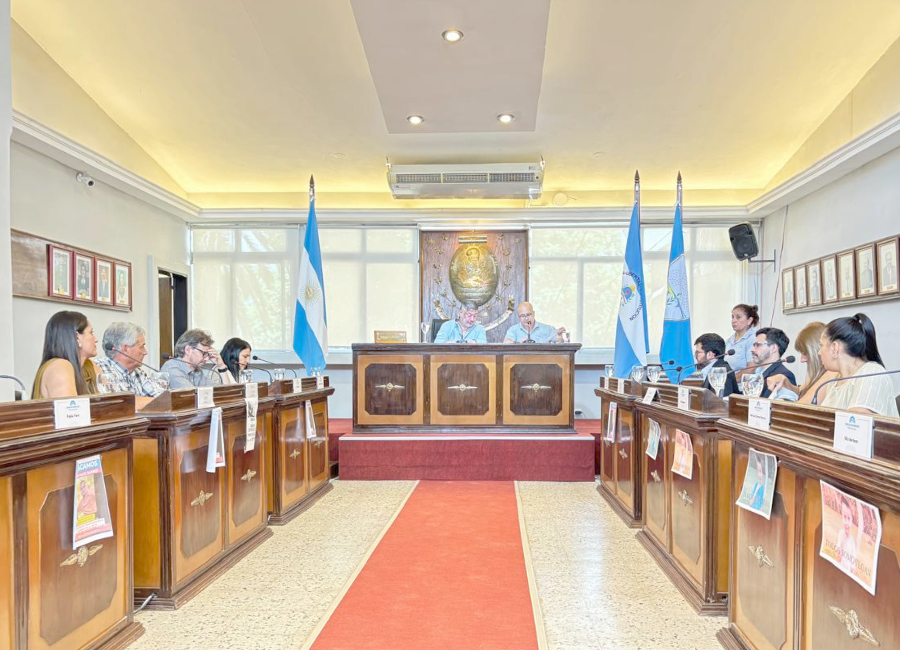 IV° Sesión Extraordinaria Concejo Deliberante