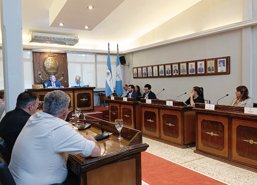 IV° Sesión Ordinaria Concejo Deliberante