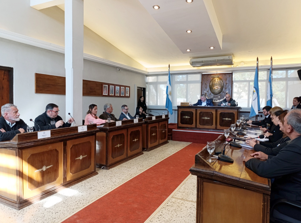 VII° Sesión Ordinaria Concejo Deliberante